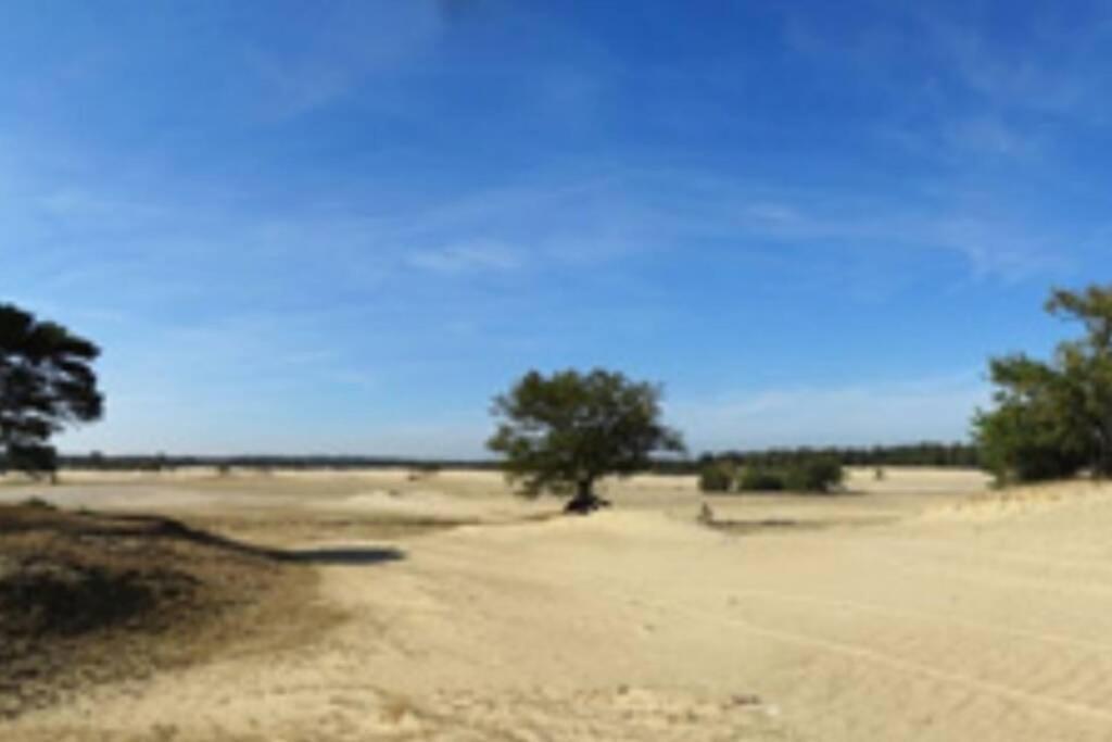 Gezellig Chalet Op De Veluwe Doornspijk Dış mekan fotoğraf