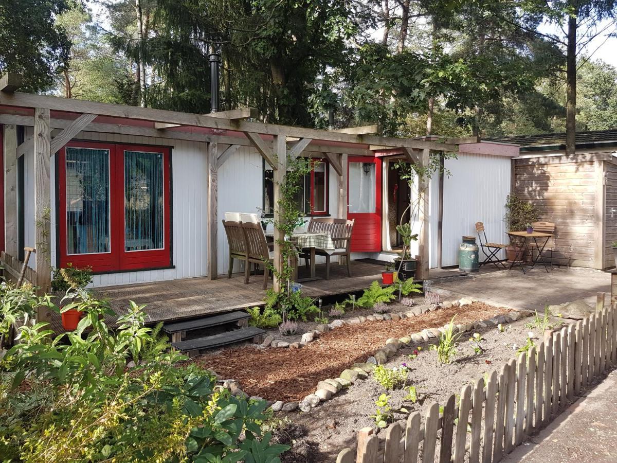 Gezellig Chalet Op De Veluwe Doornspijk Dış mekan fotoğraf