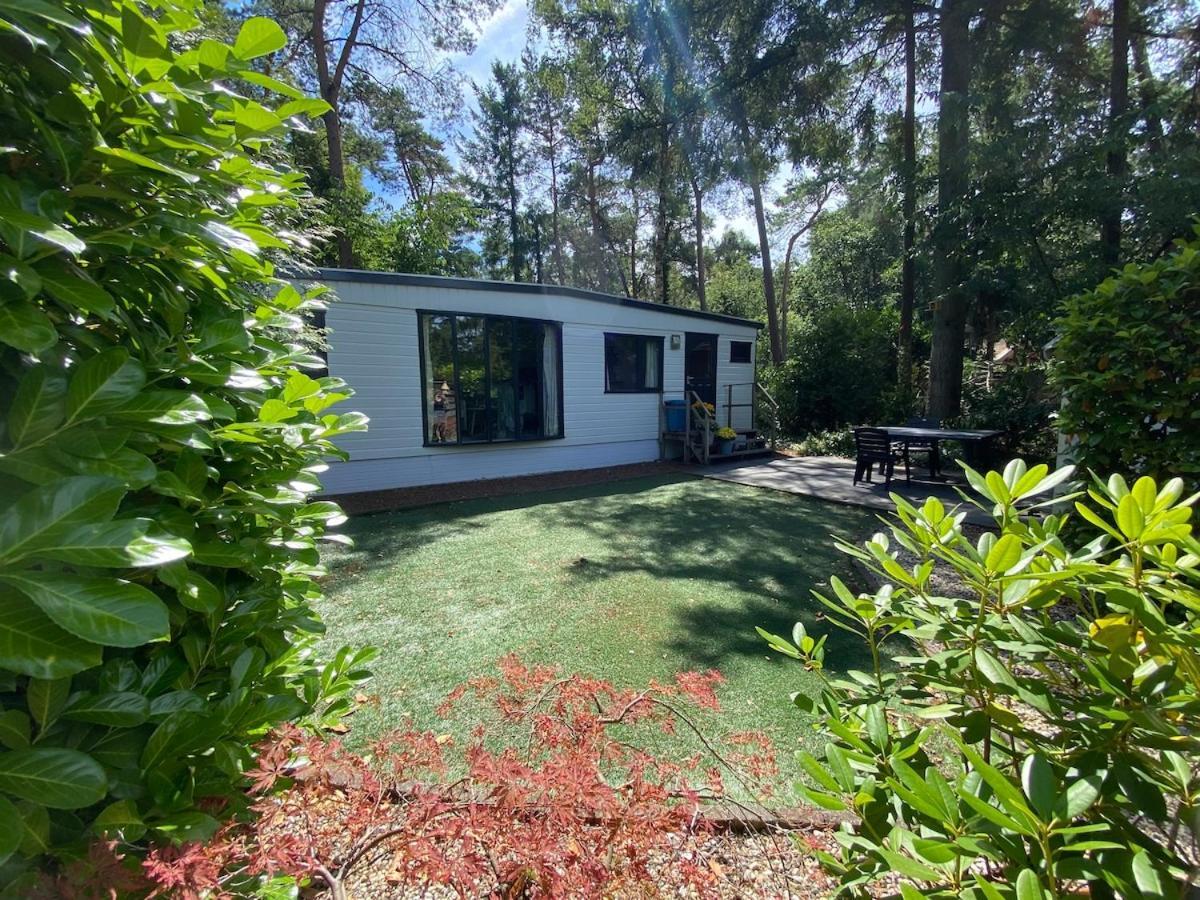Gezellig Chalet Op De Veluwe Doornspijk Dış mekan fotoğraf