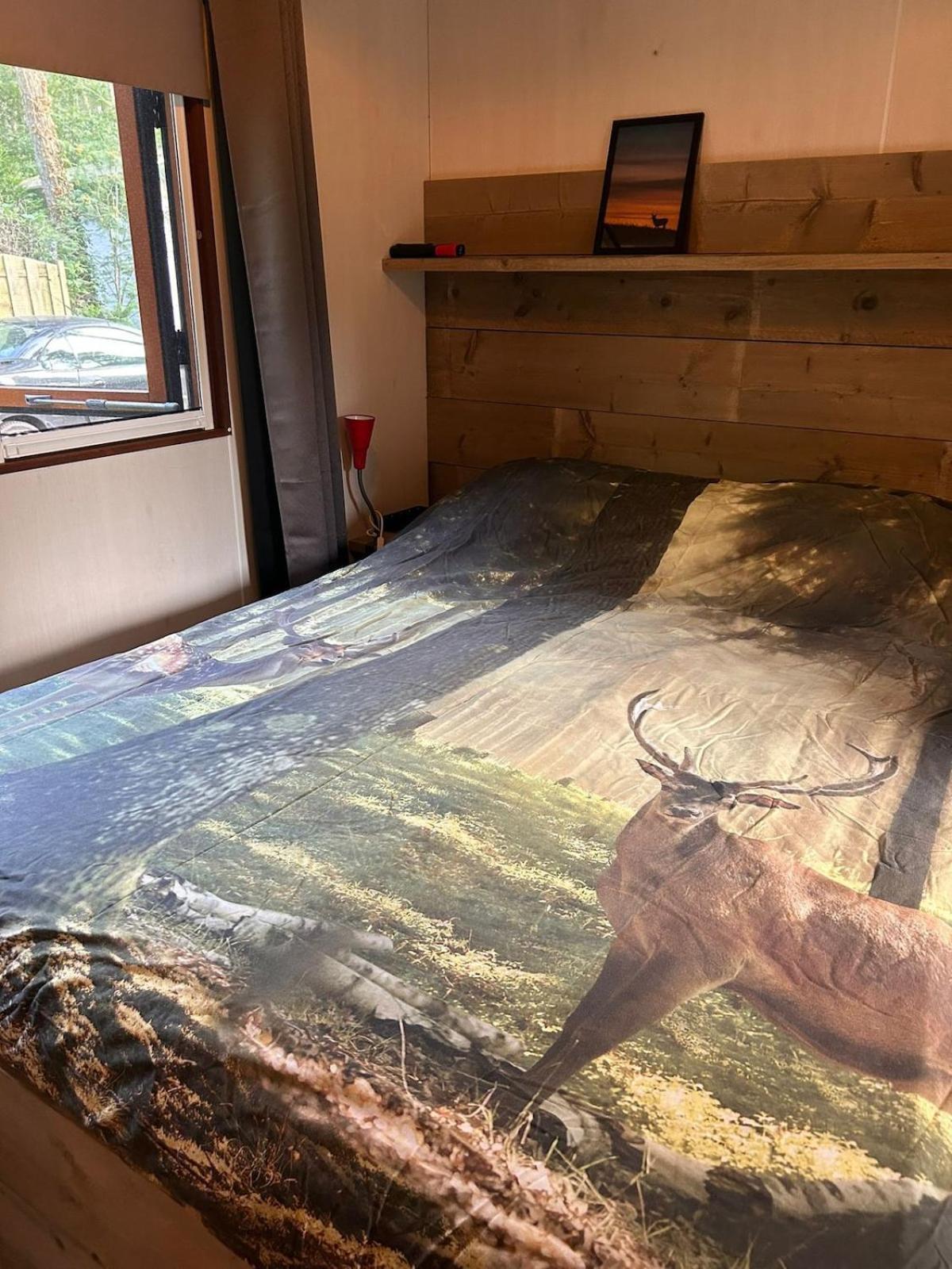 Gezellig Chalet Op De Veluwe Doornspijk Dış mekan fotoğraf